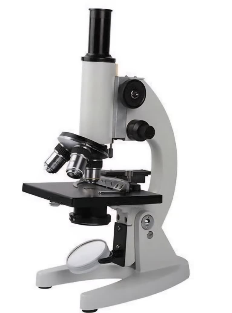 Compound microscope